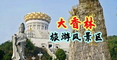 我操浪逼视频网站中国浙江-绍兴大香林旅游风景区